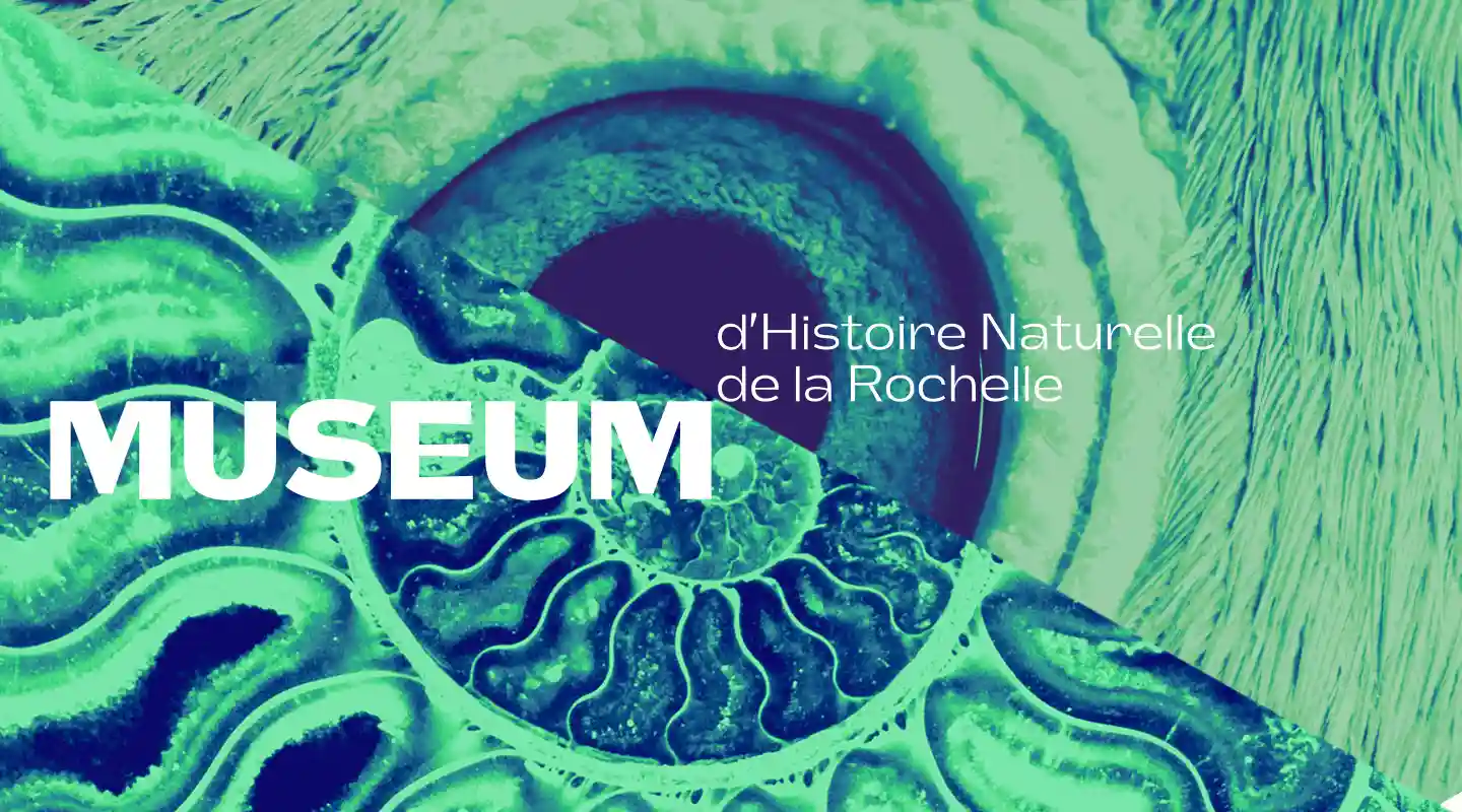 Branding-Logo-MHNR-Bandeau-supérieur