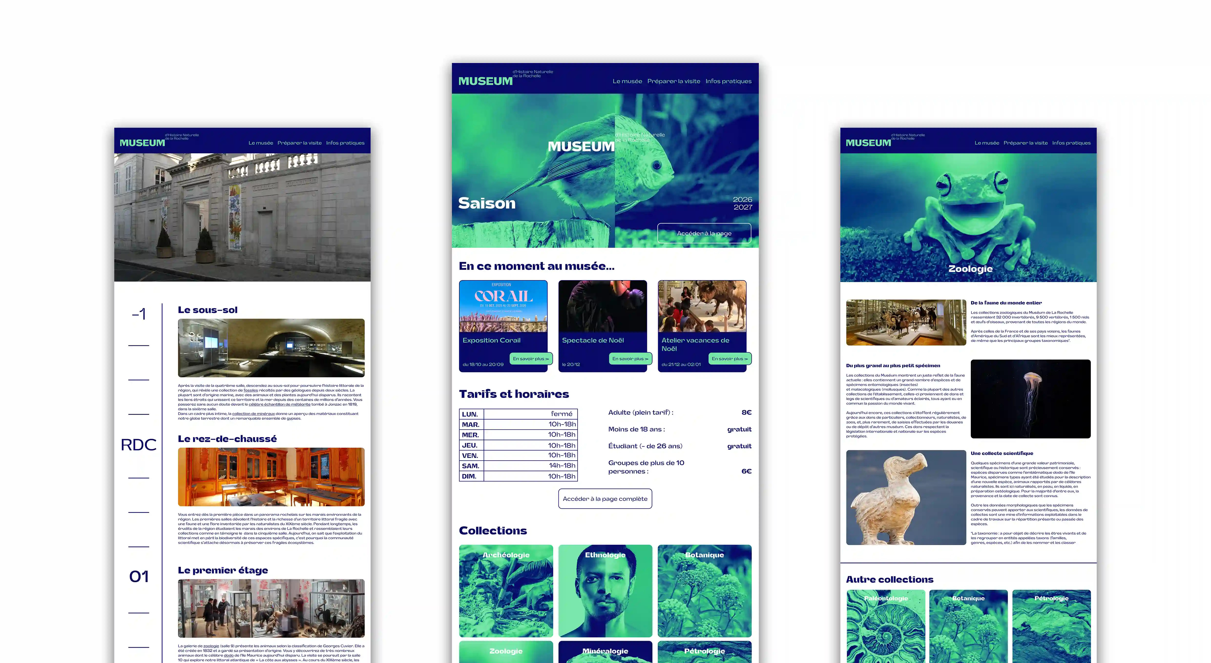 Branding-Site-web-MHNR-Pages