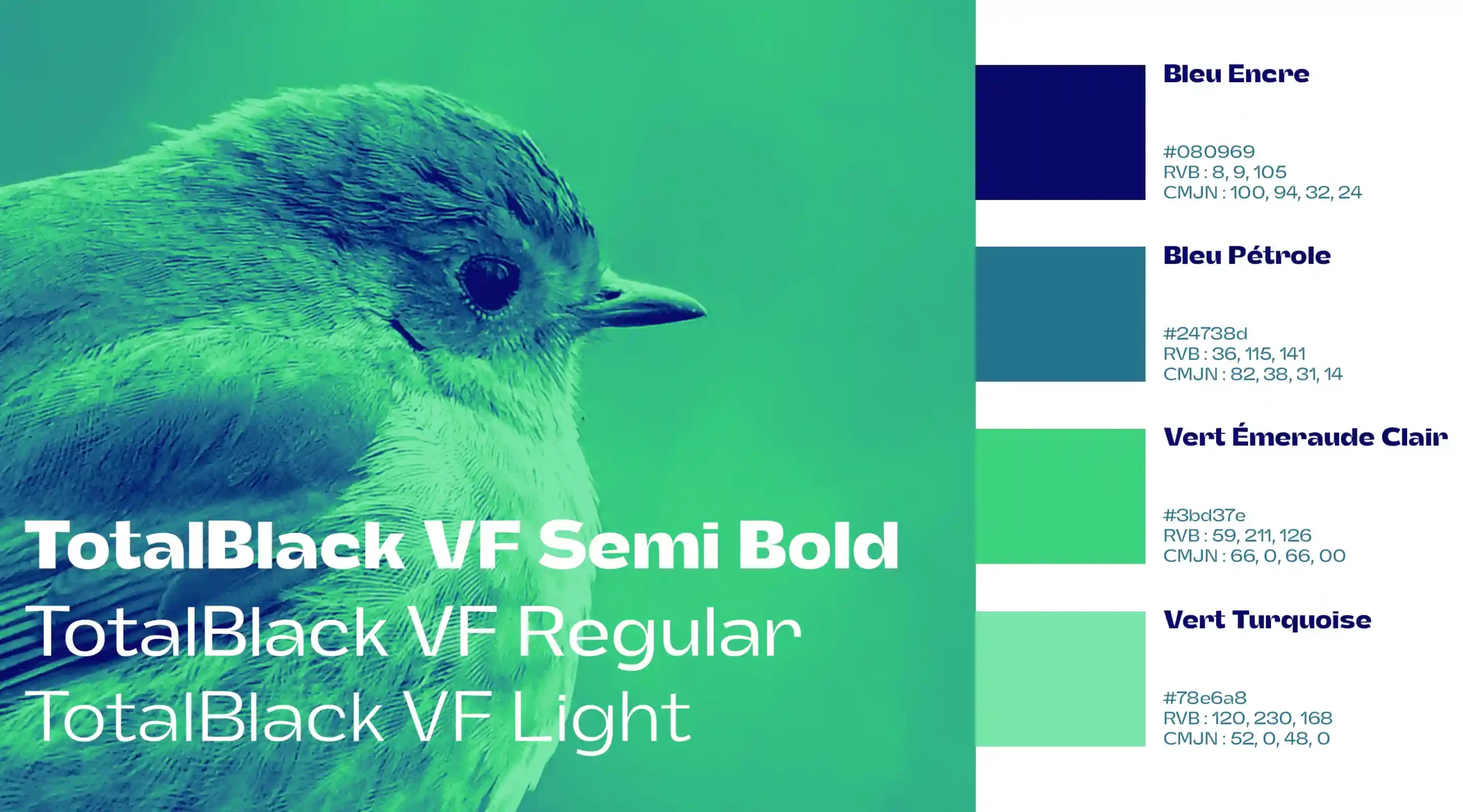 Branding-Couleurs-typographies-MHNR-Image-de-présentation copie