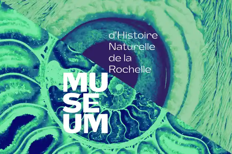Muséum d’Histoire Naturelle de la Rochelle