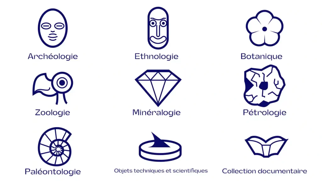 Branding-Tampons-MHNR-Pictogrammes