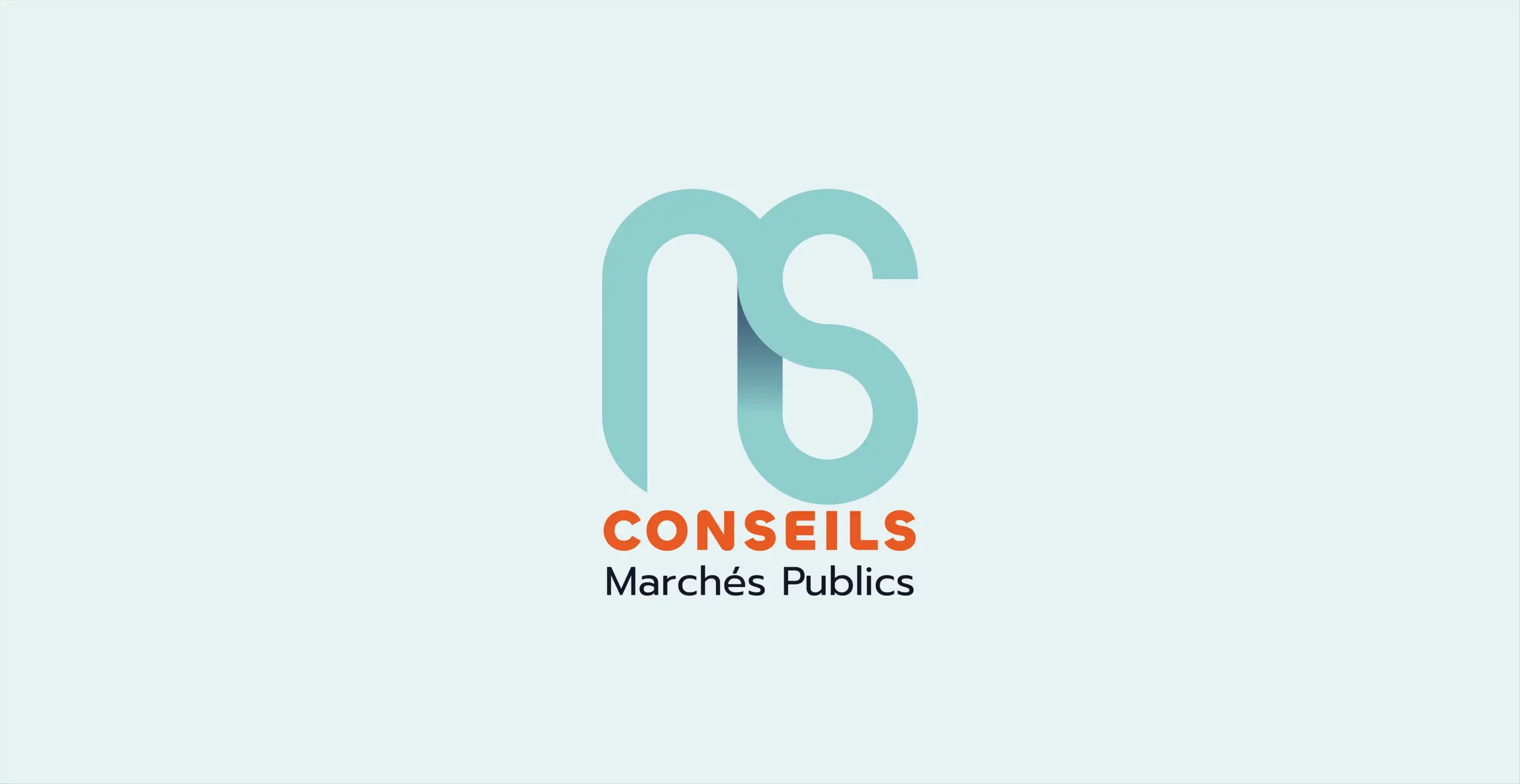 Logo NS conseils-03
